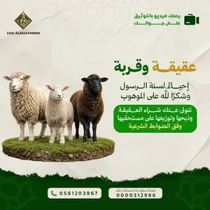 العقيقه في مكة